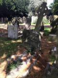 image of grave number 345938